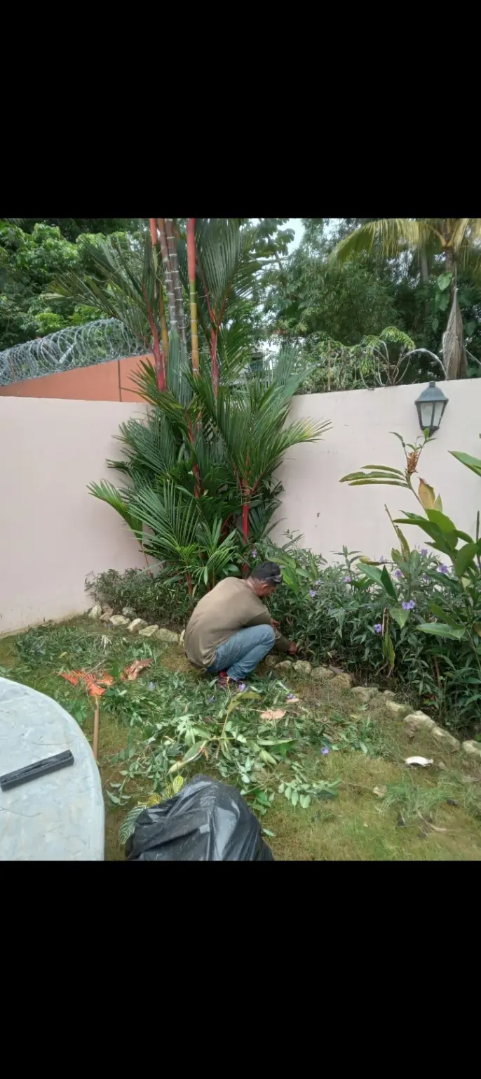 Trabajador de Green PTY realizando mantenimiento de un jardín residencial en Panamá