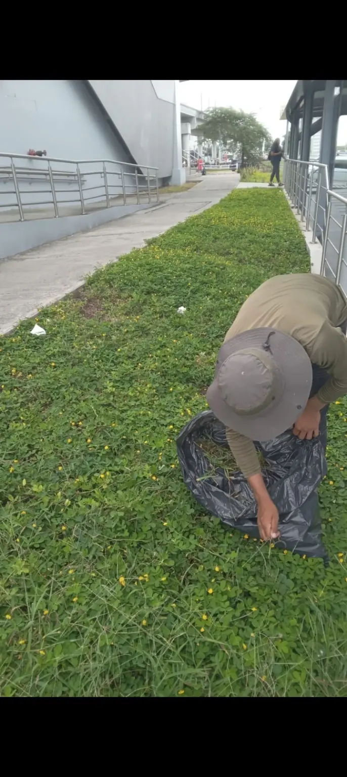 Limpieza manual de área verde realizada por Green PTY en Panamá