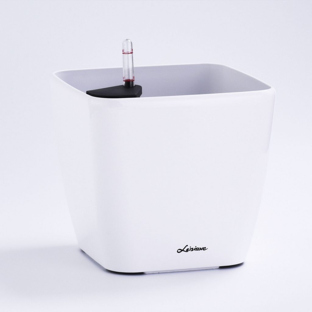 Mediano 31cm