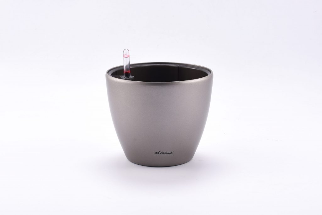 Pequeño 10cm